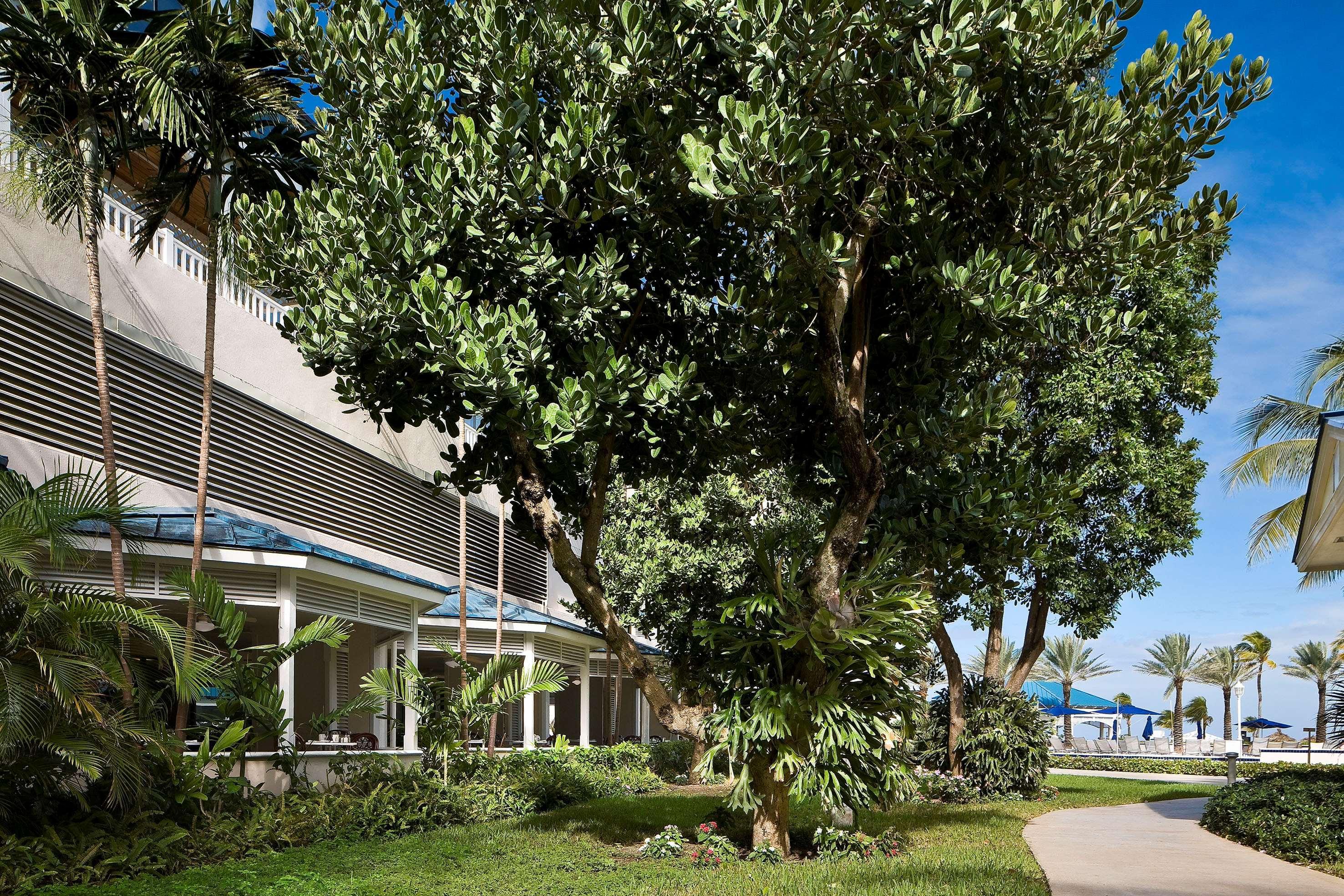 Melia Nassau Beach Eksteriør bilde